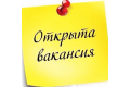 ИП Климова