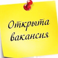 ИП Климова