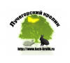 ООО "УСАДЬБА"